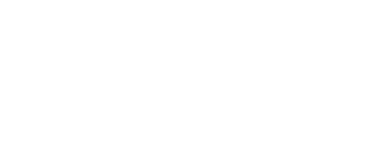TX Hoop Scene